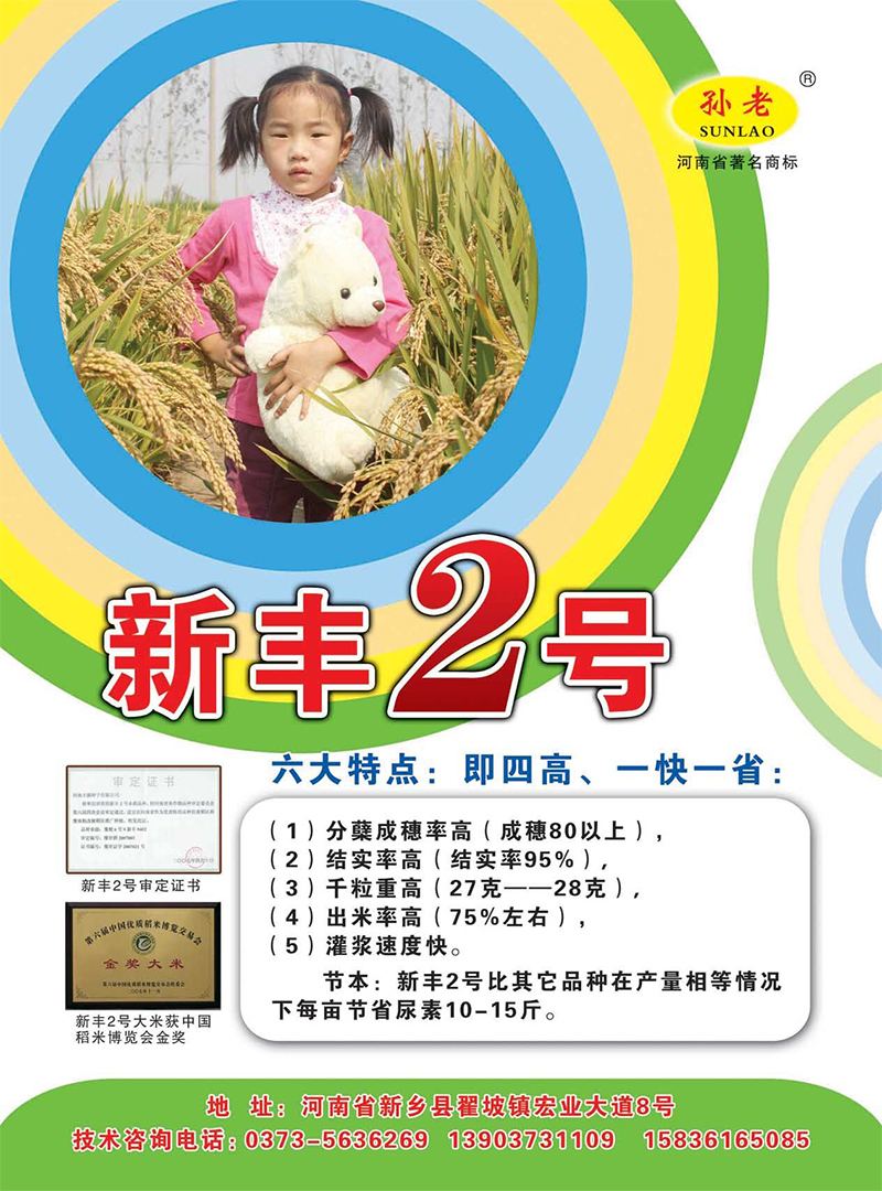 新丰2号正