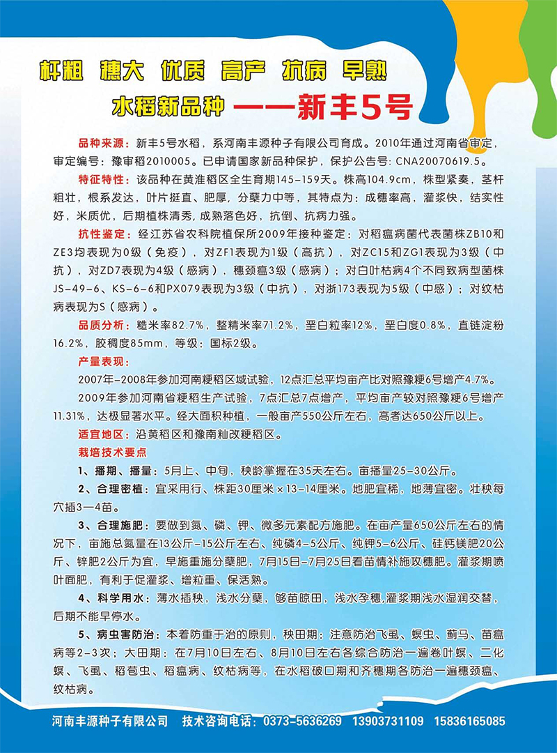 新丰5号反