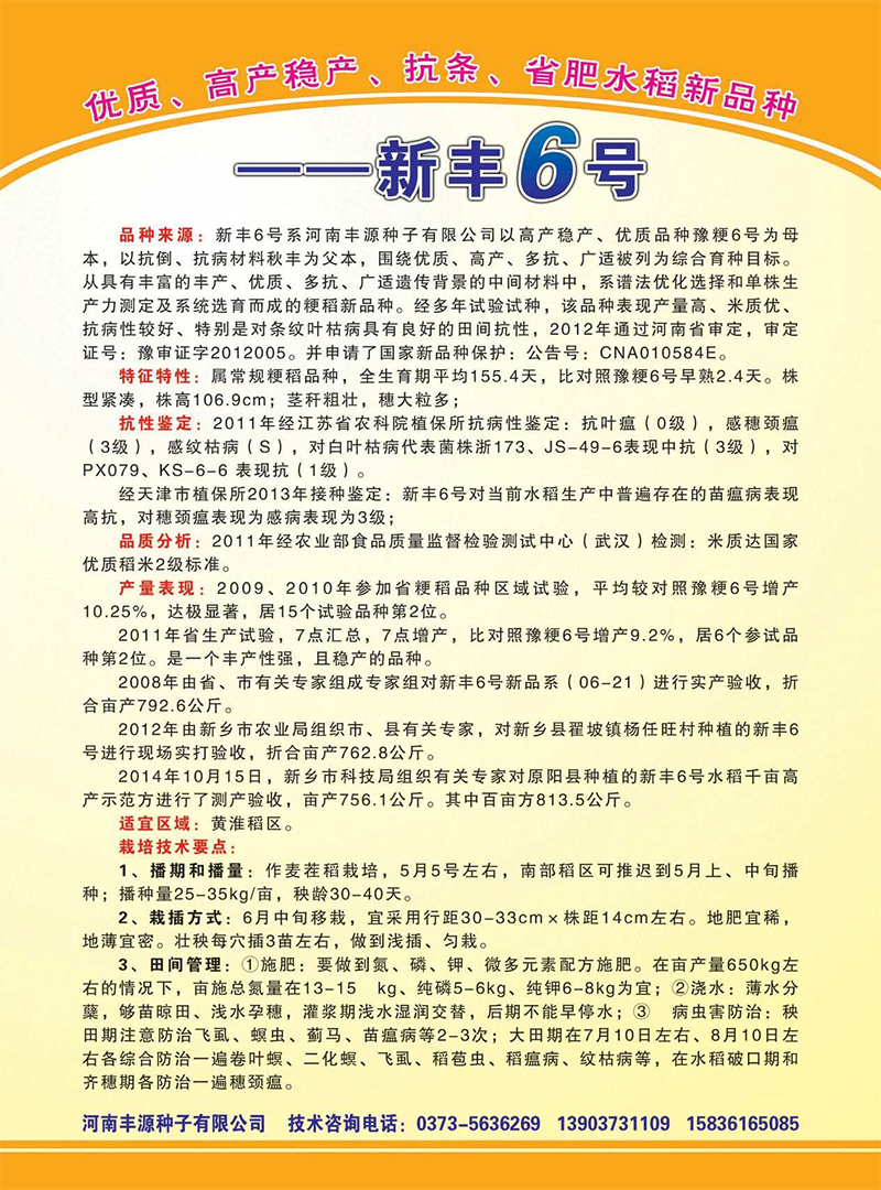 新丰6号反