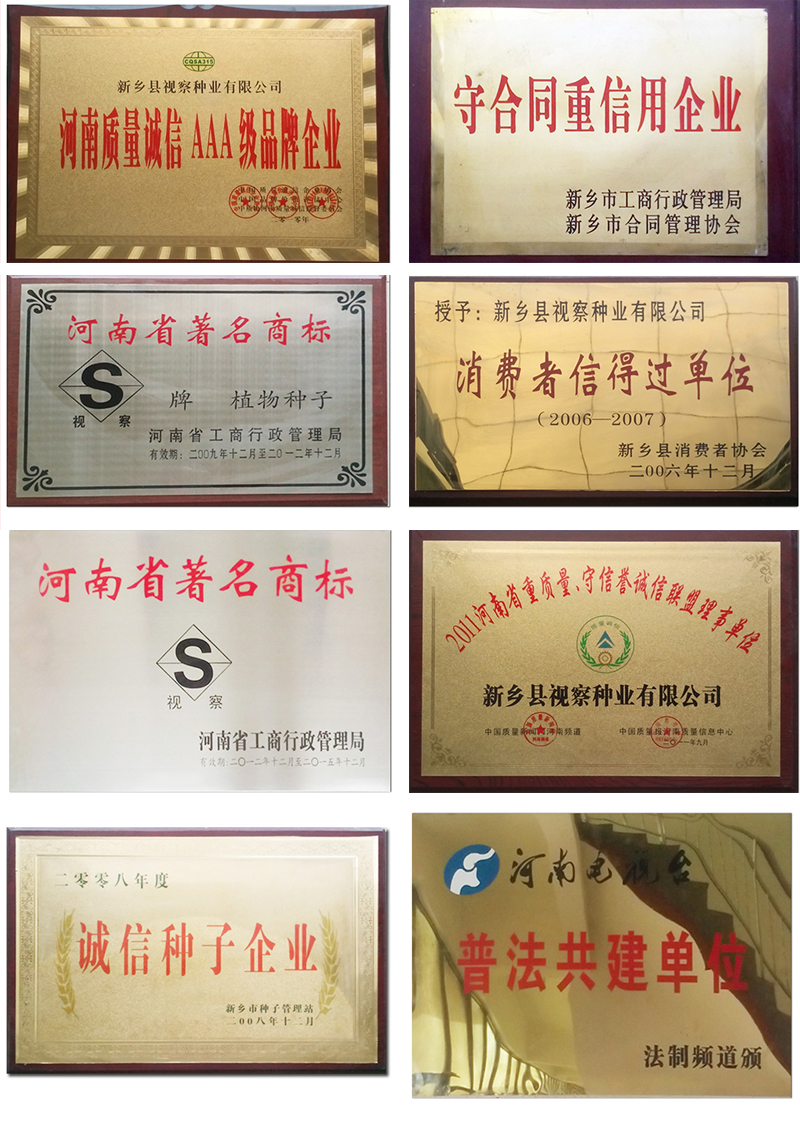 未标题-1